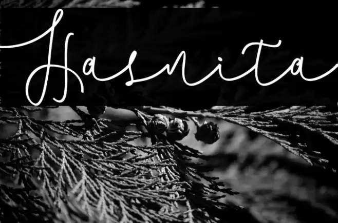 Hasnita Font examples