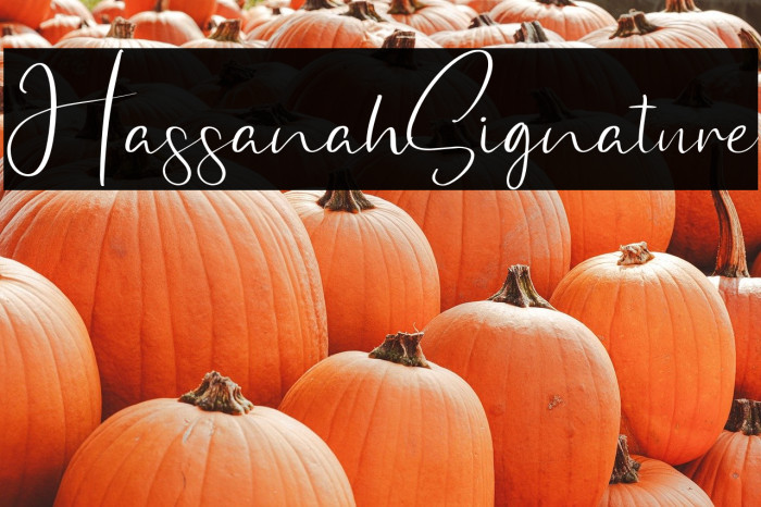 HassanahSignature Example 1