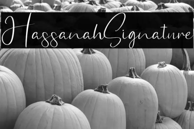 HassanahSignature Font examples