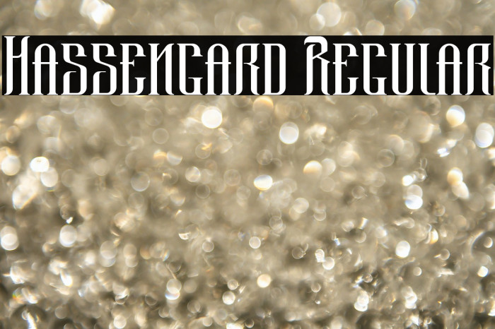 Hassengard Regular Example 2