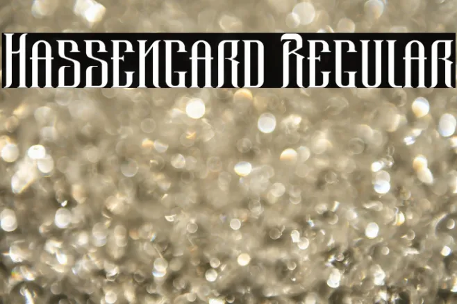 Hassengard Regular Example 2