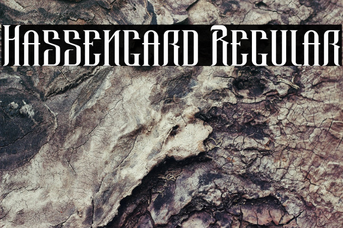 Hassengard Regular Example 3