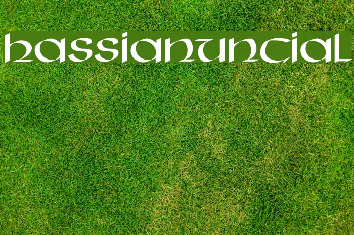 HassianUncial Font examples