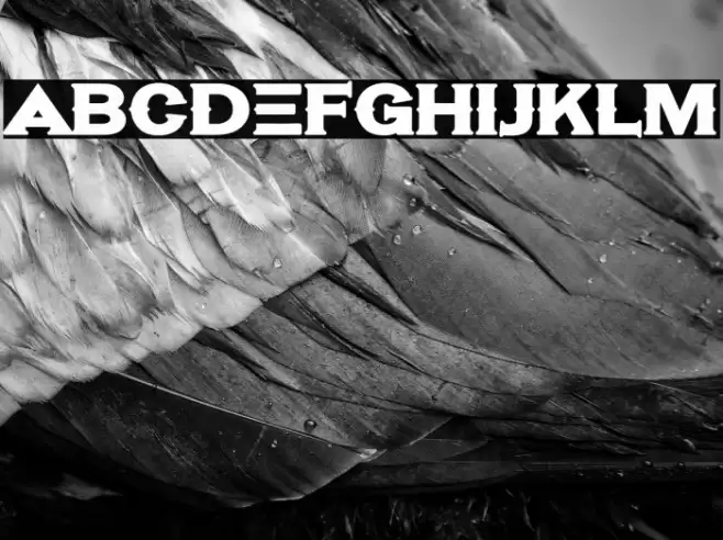 Hassified Font examples