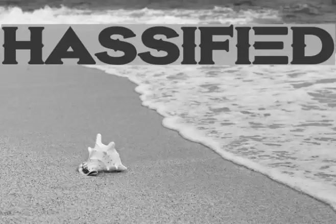 Hassified Font examples