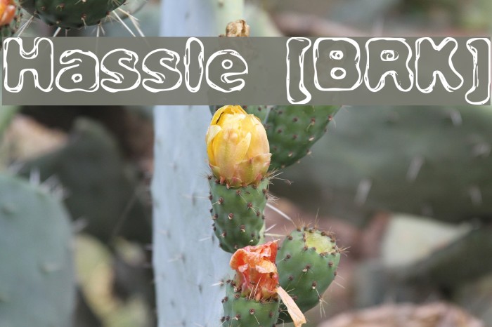 Hassle [BRK] Example 1