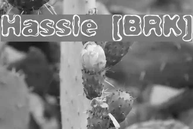 Hassle [BRK] Font examples