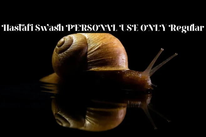 Hastafi Swash PERSONAL USE ONLY Regular Example 1