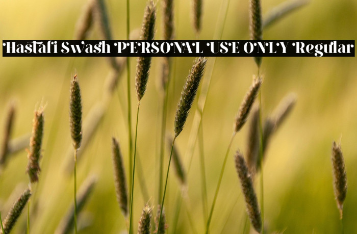 Hastafi Swash PERSONAL USE ONLY Regular Example 3