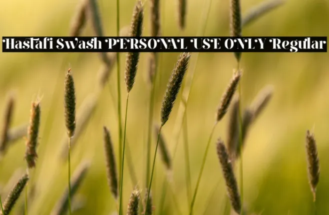 Hastafi Swash PERSONAL USE ONLY Regular Example 3