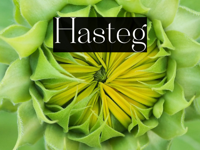 Hastegi Example 1