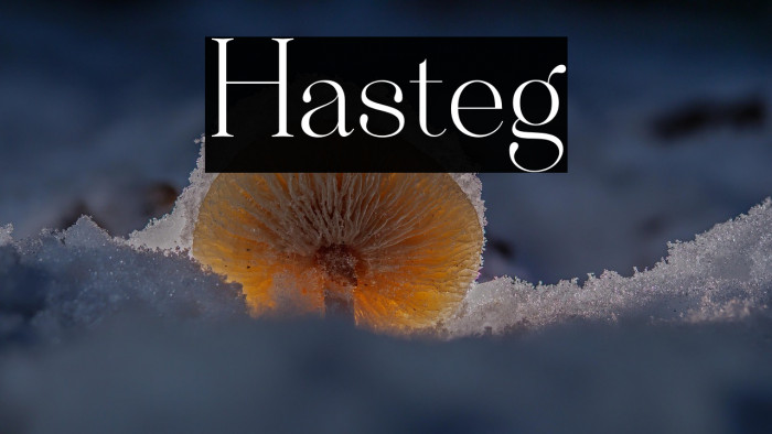 Hastegi Example 2