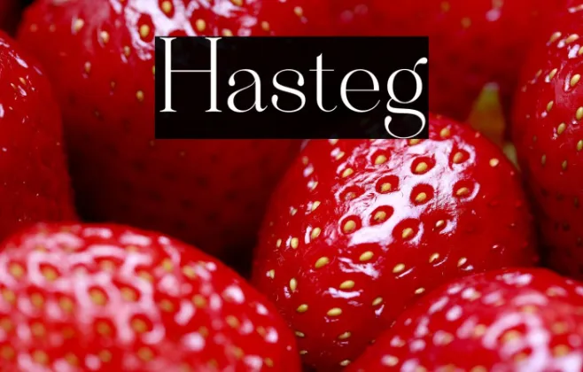 Hastegi Example 3