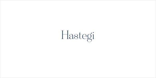 Hastegi Logo