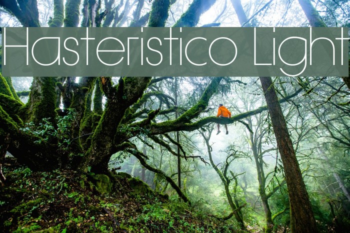 Hasteristico Light Font examples