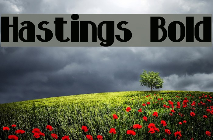 Hastings Bold Font examples