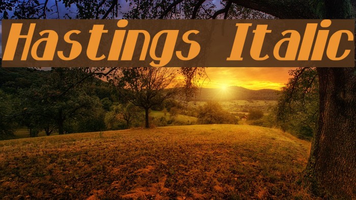 Hastings Italic Font examples