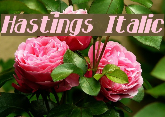 Hastings Italic Font examples