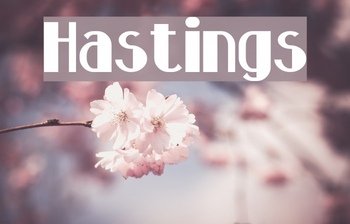 Hastings Font examples