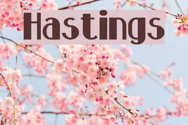 Hastings Example 2
