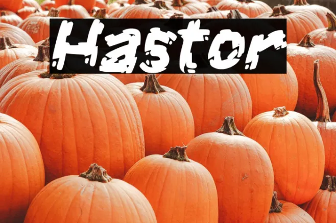 Hastor Example 1