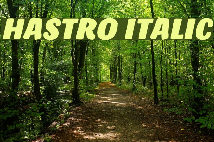 Hastro Italic Font examples