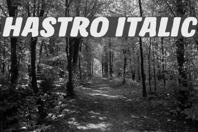 Hastro Italic フォント examples