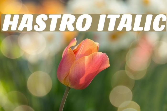 Hastro Italic Font examples