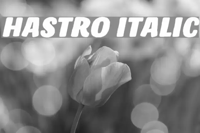 Hastro Italic フォント examples