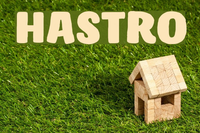 Hastro Font examples