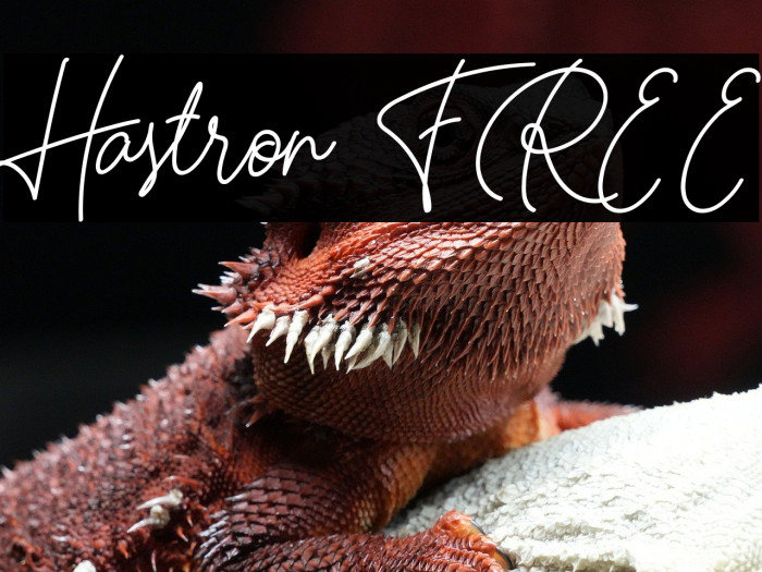 Hastron FREE Example 1