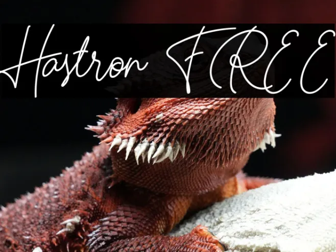 Hastron FREE Example 1