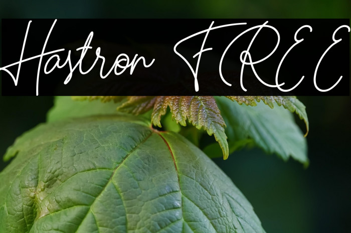 Hastron FREE Example 3