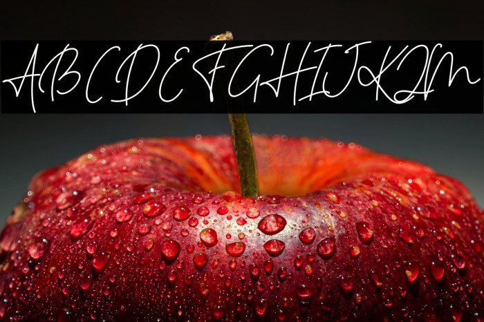 HastronFREE Example 1