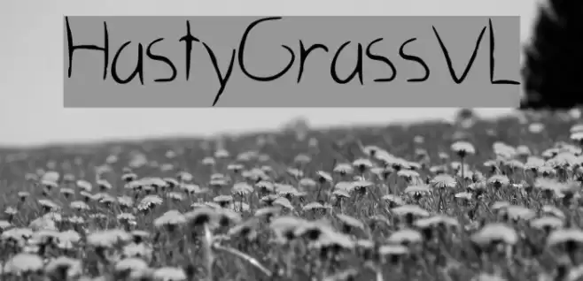 HastyGrass_VL Font examples