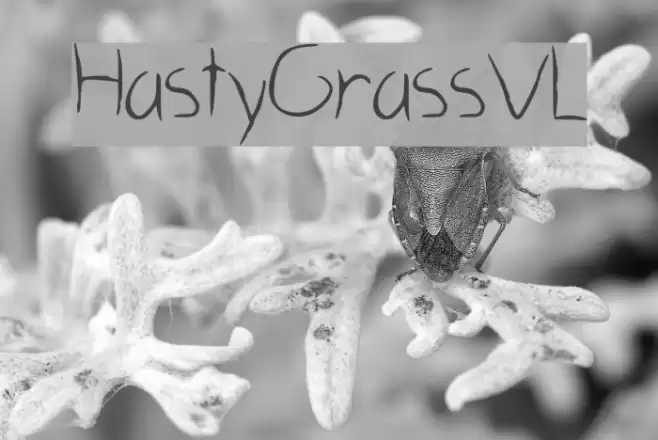 HastyGrass_VL Font examples