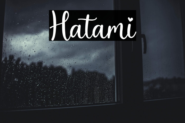 Hatami Example 1