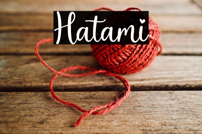 Hatami Example 2