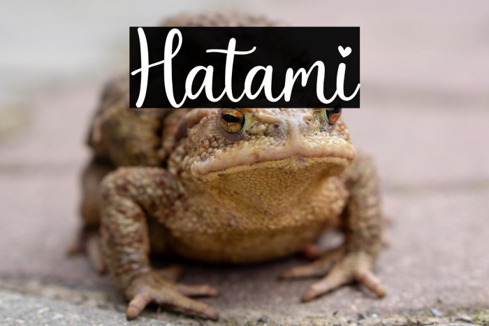 Hatami Example 3