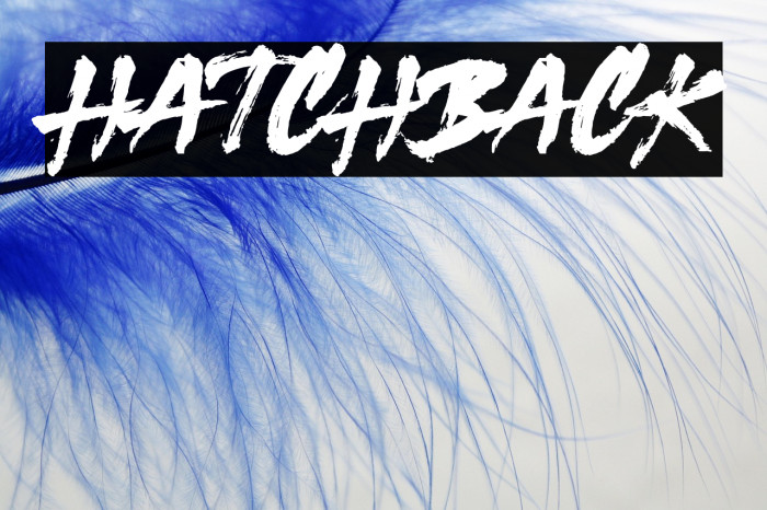 Hatchback Example 3