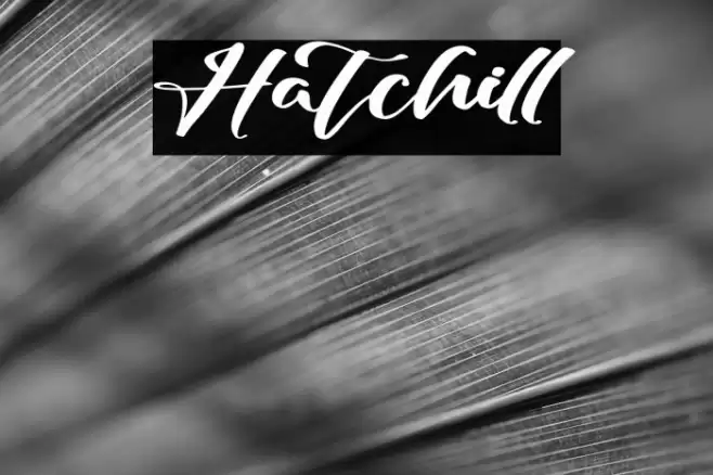 Hatchill Font examples