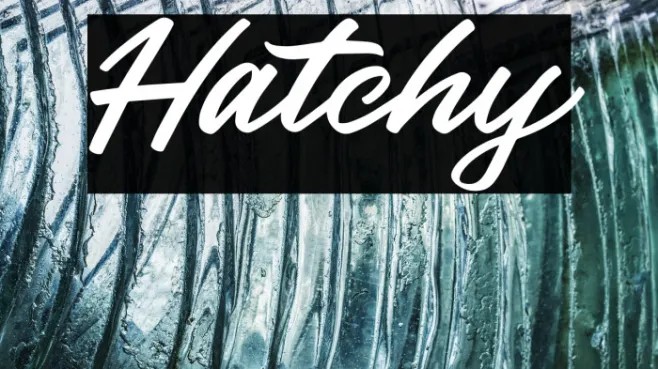 Hatchy Example 2
