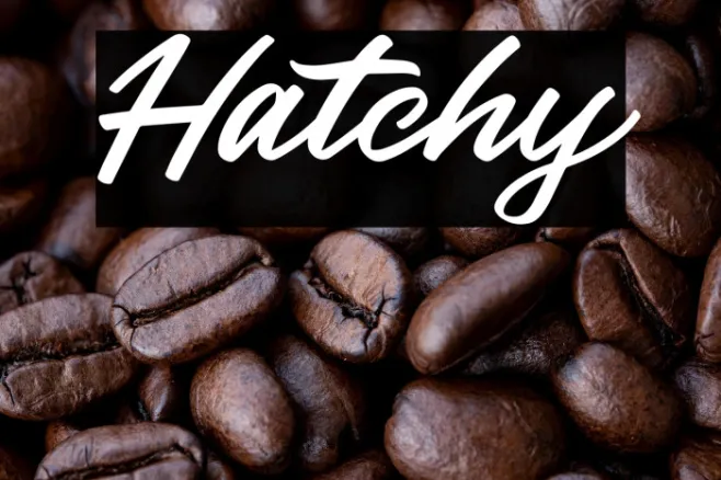 Hatchy Example 3