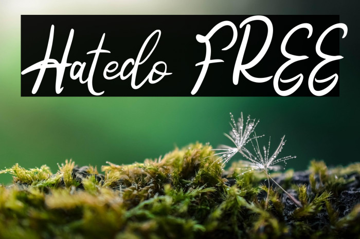 Hatedo FREE Example 3