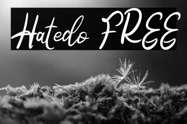 Hatedo FREE Font examples