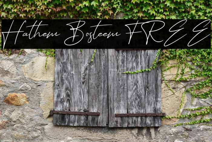 Hathem Bosteem FREE Example 2