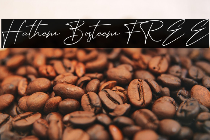 Hathem Bosteem FREE Example 3