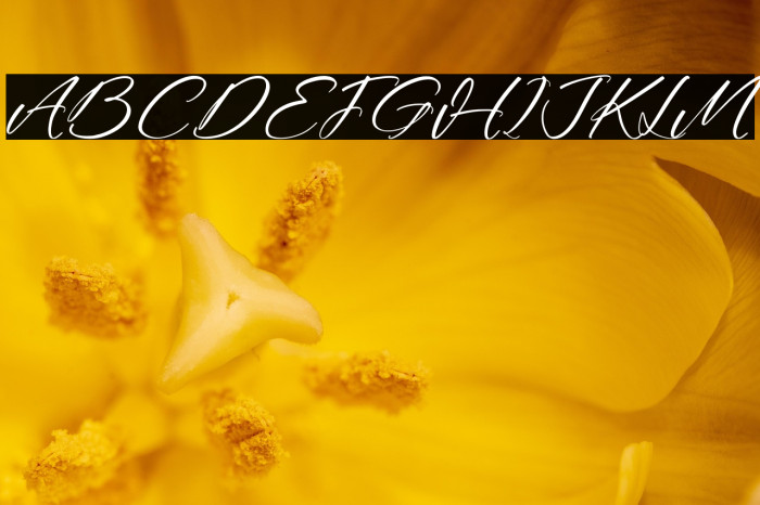 Hatheyrose DEMO VERSION Italic Example 1