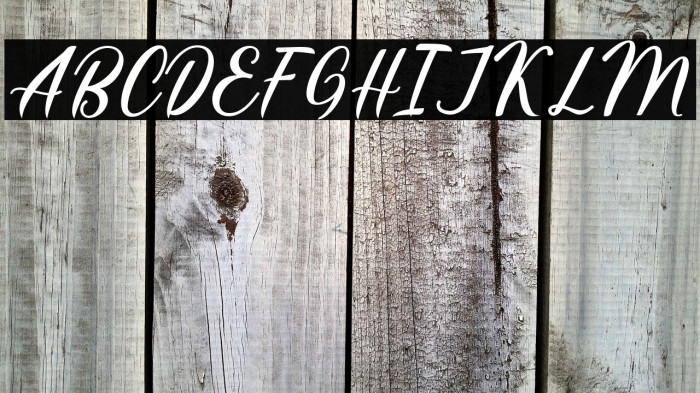 HatiaScript Example 1