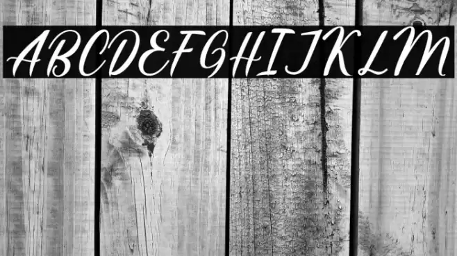 HatiaScript Font examples